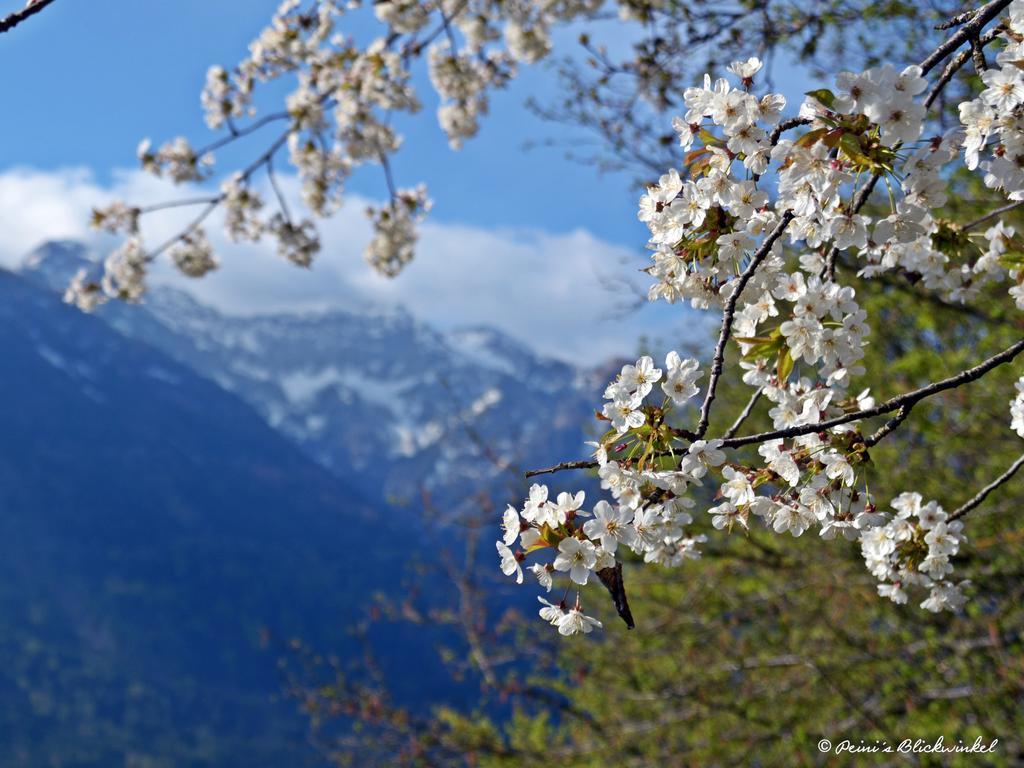 Haus Obermoser Dellach im Drautal Buitenkant foto