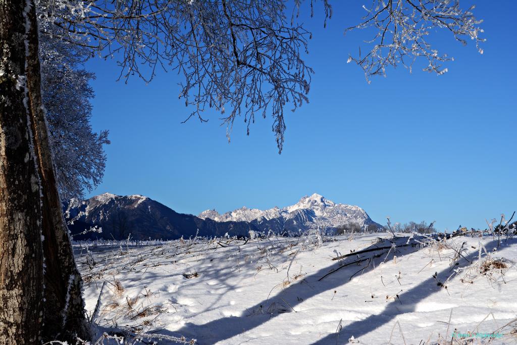 Haus Obermoser Dellach im Drautal Buitenkant foto
